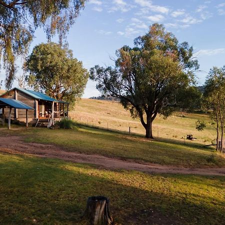 Gaddleen Grove Cottages Wodonga Exterior photo