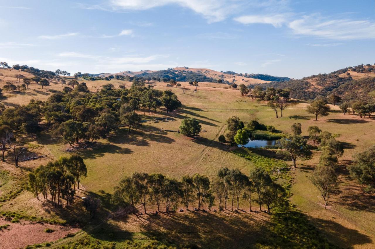 Gaddleen Grove Cottages Wodonga Exterior photo